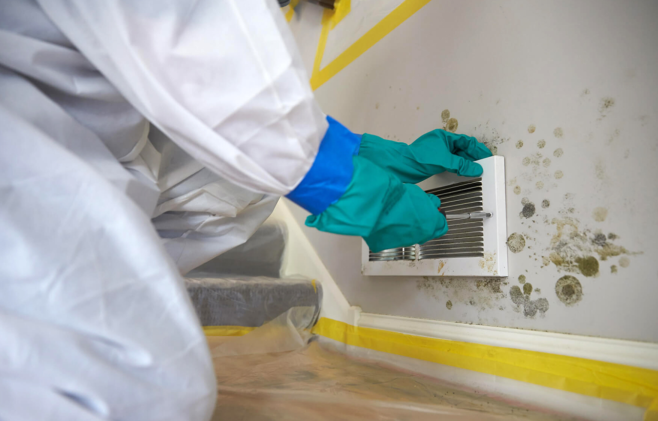 commercial mould cleaning Sydney