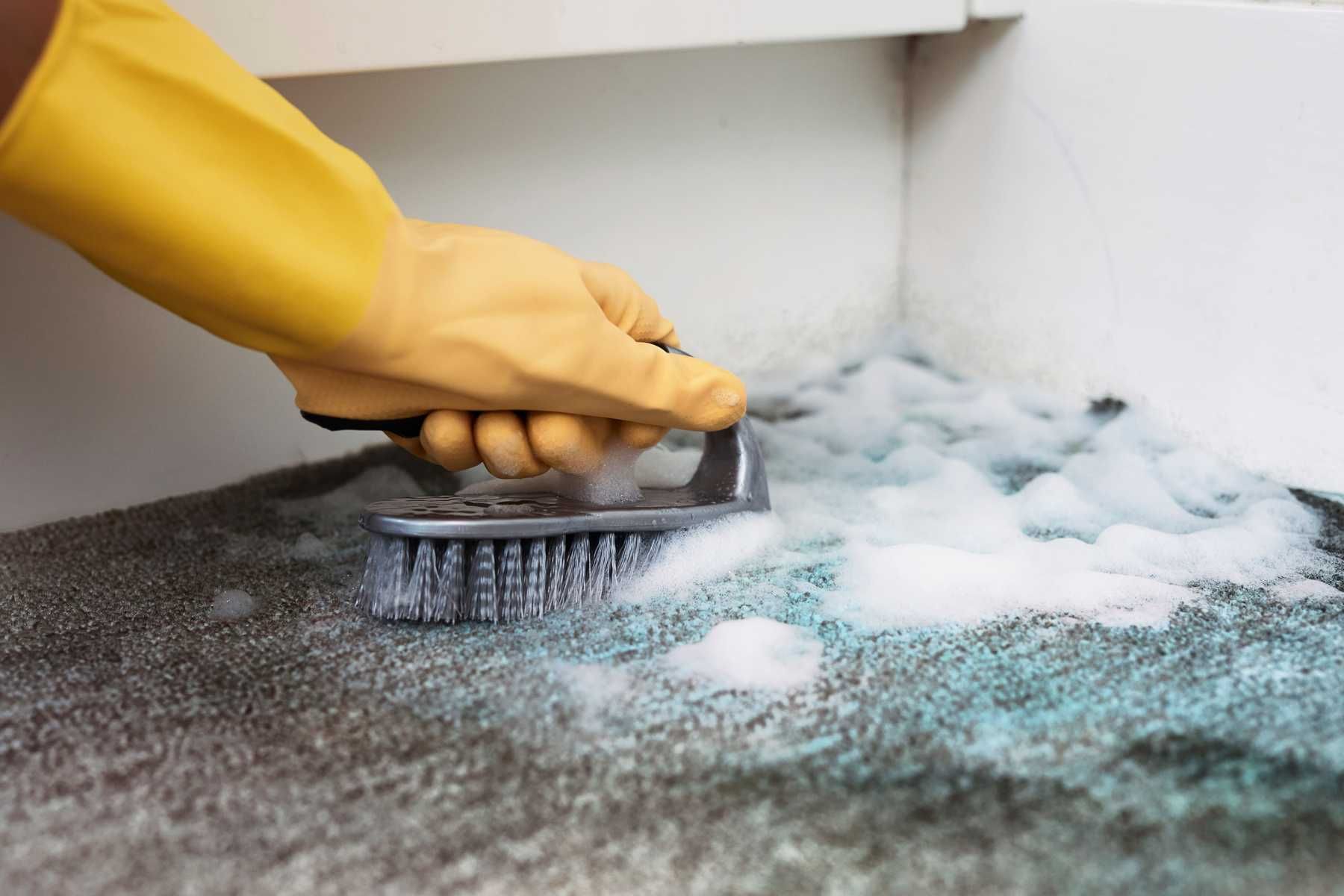 mould cleaning services sydney